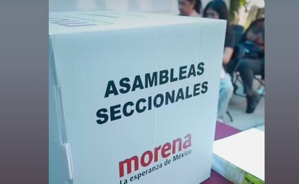 Visita de Luisa Alcalde legitimará creación de comités seccionales de Morena