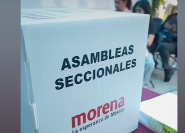 Visita de Luisa Alcalde legitimará creación de comités seccionales de Morena