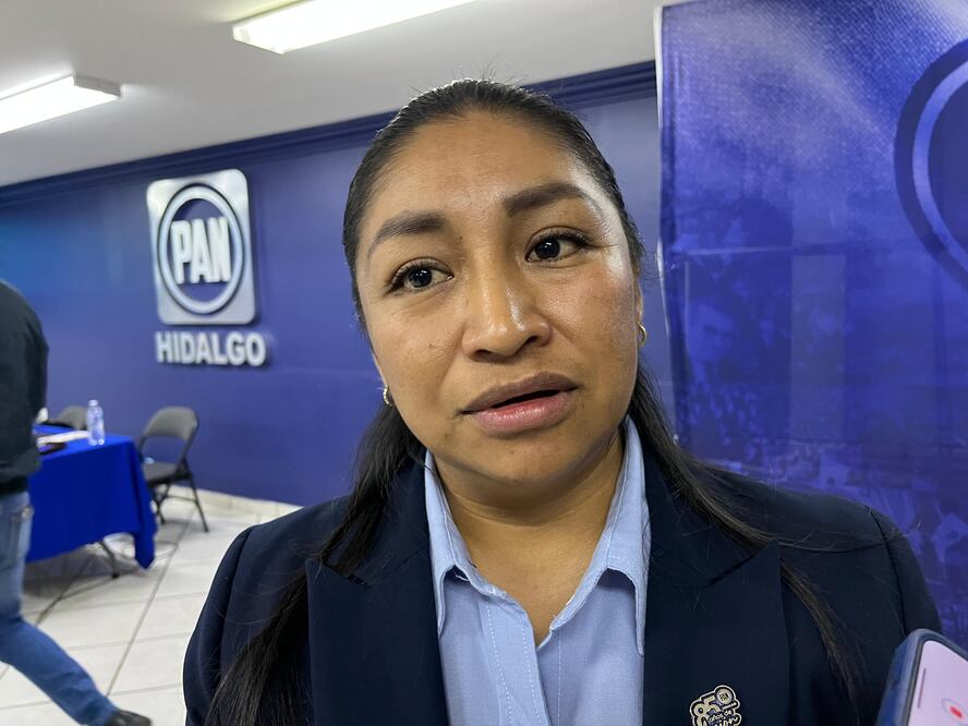 En 2025 y 2026 no se programan elecciones ordinarias, y el trabajo de los partidos será solo interno | Foto: Ricardo Calleja