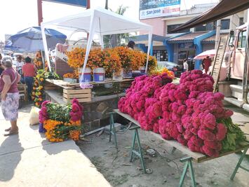 Arranca el Xantolo en la Huasteca con la celebración del Día de los Arcos