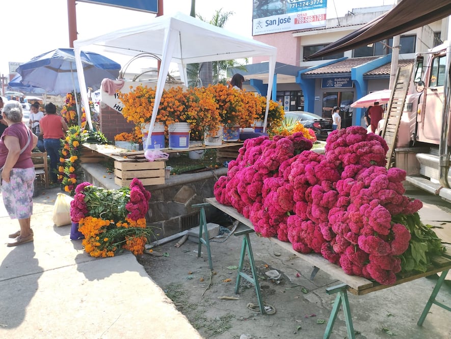 Foto: Francisco Bautista