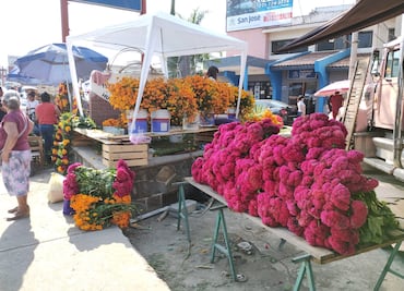 Arranca el Xantolo en la Huasteca con la celebración del Día de los Arcos