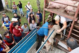 Destina Saderh apoyos al sector agropecuario en Lolotla