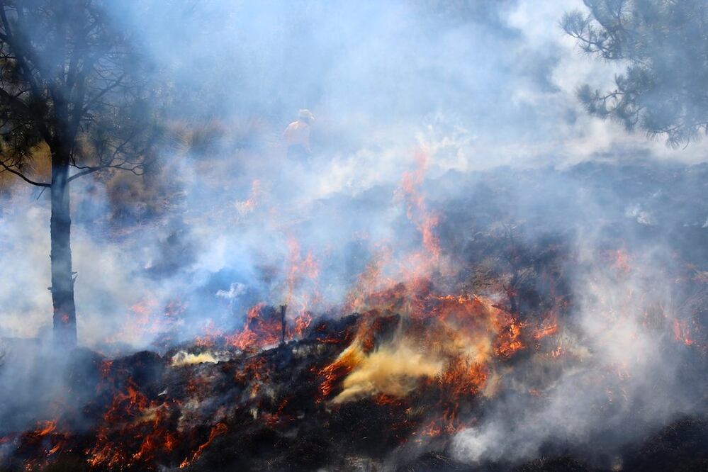 En el Parque Nacional El Chico el fuego consumió al menos 6 hectáreas en las primeras horas | Foto: Especial