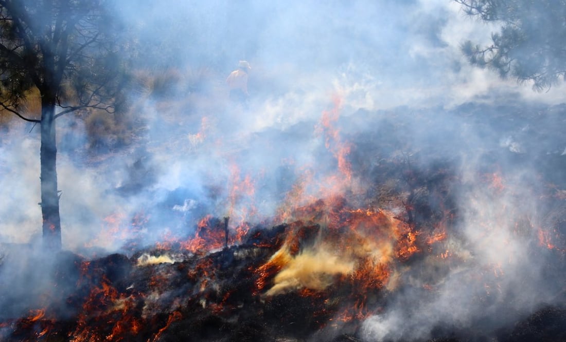En el Parque Nacional El Chico el fuego consumió al menos 6 hectáreas en las primeras horas | Foto: Especial