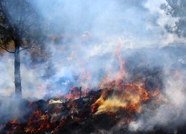 Recomiendan medidas para protegerse por el humo de incendios