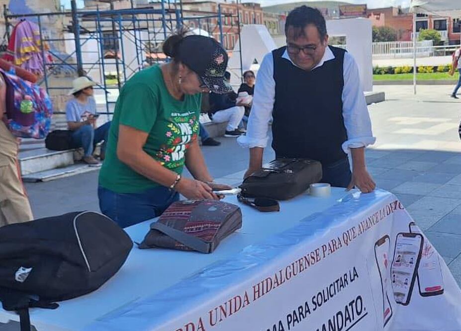 Revocación de mandato I Foto: FB Tonatiuh Tonatiuh Herrera