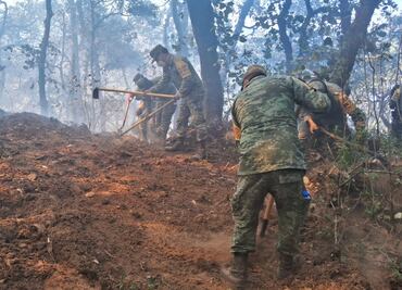 Ovinos, caballos, caninos y animales silvestres resultaron afectados por incendio en Nicolás Flores