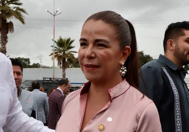 Discutirán diputados federales las reformas de AMLO antes que acabe 2024: Alma de La Vega