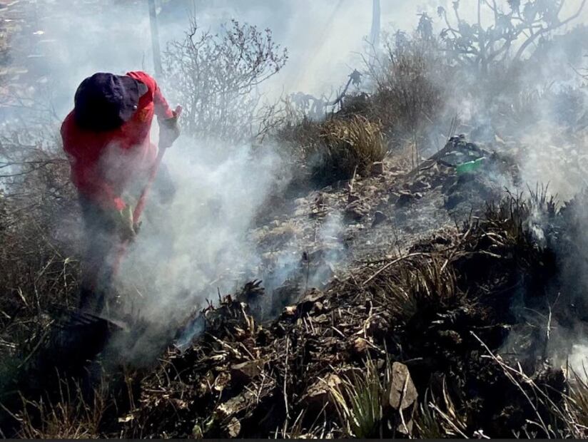 Foto: Luis Soriano