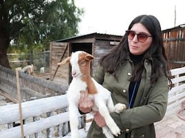 GranjAventura: un espacio para aprender a respetar a los animales