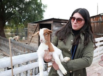 GranjAventura: un espacio para aprender a respetar a los animales