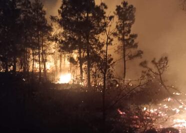 Suma Hidalgo 97 incendios forestales con más de 2 mil hectáreas afectadas 