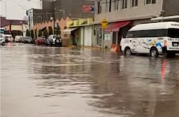 Lluvias en el Valle del Mezquital derriban árboles y causan inundaciones