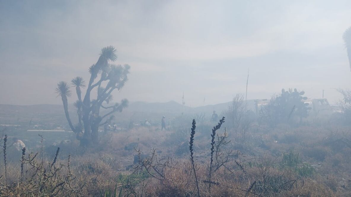 En Ixmiquilpan, la semana pasada se registraron algunos incendios, los cuales fueron controlados y sofocados por personal de PC y Bomberos, con el apoyo de la población y los parques acuáticos, que contribuyeron con pipas de agua.
