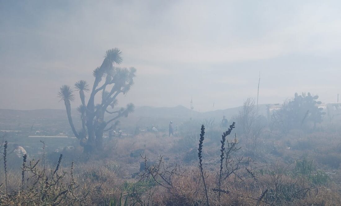 En Ixmiquilpan, la semana pasada se registraron algunos incendios, los cuales fueron controlados y sofocados por personal de PC y Bomberos, con el apoyo de la población y los parques acuáticos, que contribuyeron con pipas de agua.