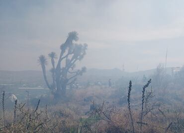 Protección Civil de Ixmiquilpan alerta; 95% de incendios son provocados