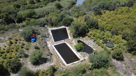 Inauguran estanque acuícola en Zimapán para impulsar producción de tilapia 