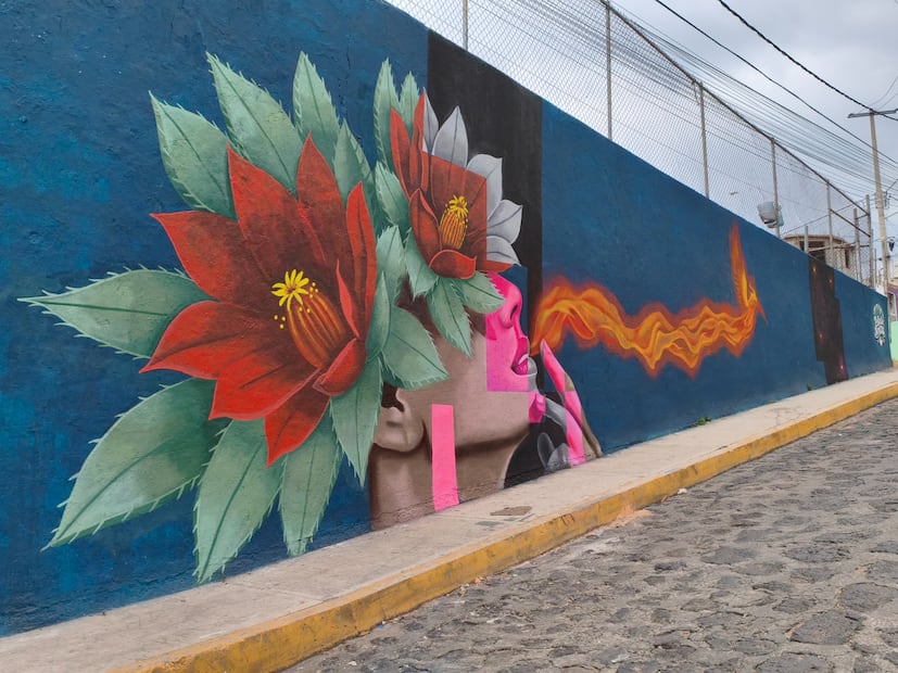 Del dolor a la identidad: Hidalgo transforma sus muros con arte | Foto: Mirely Santos