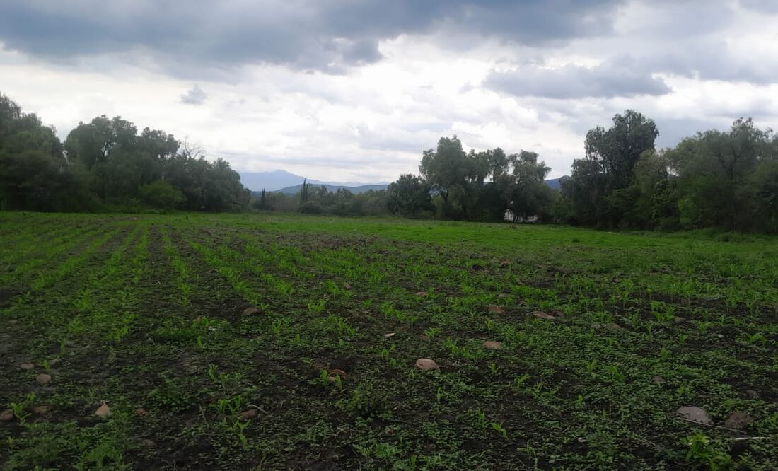 Foto: Erika Gutierrez