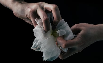 Hidalgo registra 5 a 6 delitos sexuales diarios en 2024; cifra disminuye respecto al año anterior