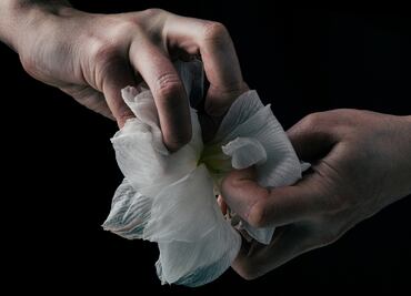 Hidalgo registra 5 a 6 delitos sexuales diarios en 2024; cifra disminuye respecto al año anterior