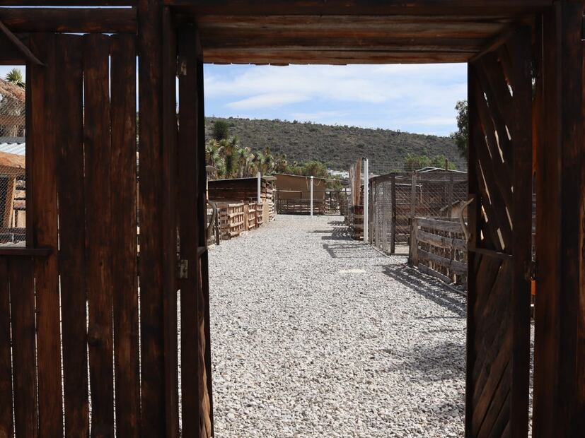 El Parque Ecológico de Cubitos, un tesoro natural en Pachuca | Foto: Cinthya Carbajal