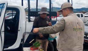 Profepa rescata pericos en tianguis semanal ganadero de Actopan