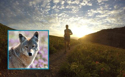 Lanzan en Nicolás Flores la primera carrera “Coyote Trail Run” como impulso al turismo deportivo