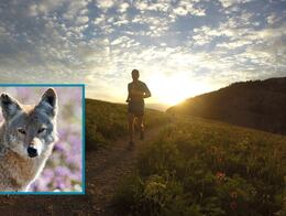 Lanzan en Nicolás Flores la primera carrera “Coyote Trail Run” como impulso al turismo deportivo