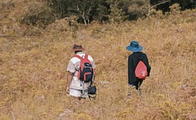 Aprueba Congreso de Hidalgo padrón digital de personas migrantes