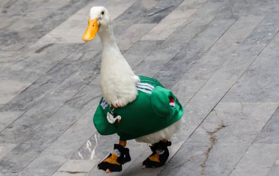 El Pato Merlín y su familia transitan por la Alameda Central. Foto: Karla Guerrero/ EL UNIVERSAL