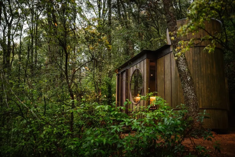 Arquitectura que se funde con el bosque | Foto: https://wandercabins.mx/