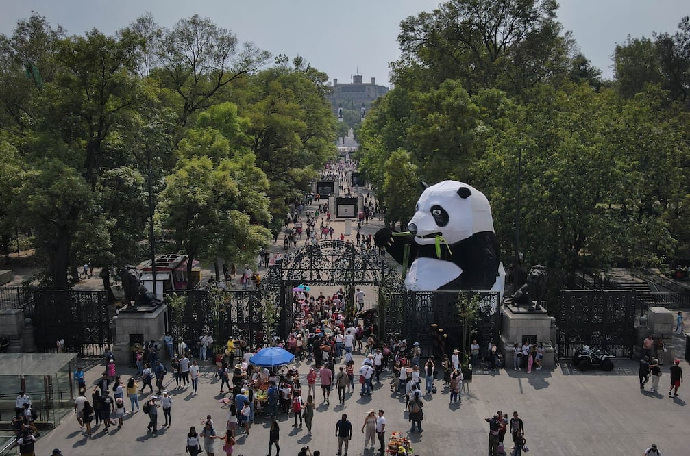 Faceboook: Quiróptera: Festival del Bosque de Chapultepec