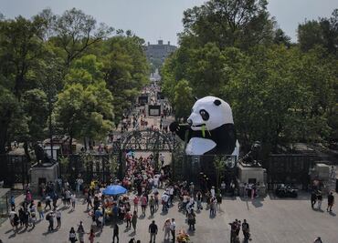 Alistan el Festival del Bosque 2024 en la CDMX