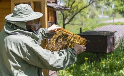 Tulancingo fortalece protección de enjambres con entrega de trajes especiales a voluntarios y ejidatarios
