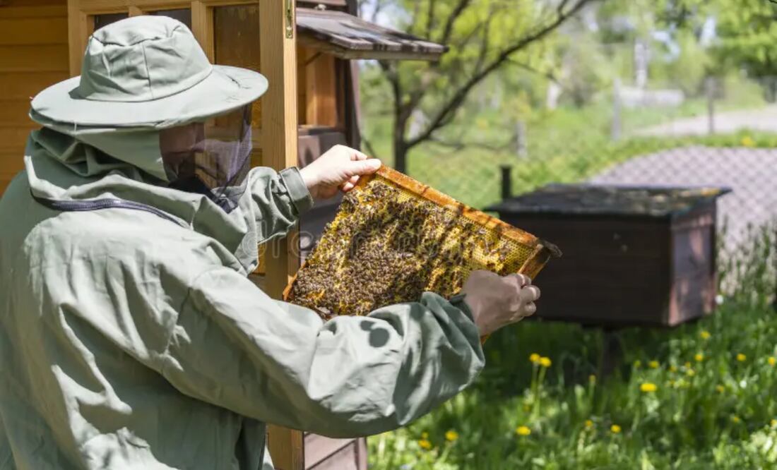 Esta propuesta dio entrega a 10 equipos especiales para la reubicación de abejas en el municipio | Foto: Especial