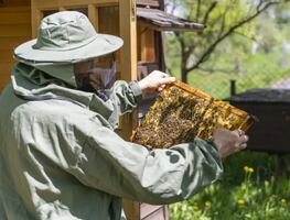 Tulancingo fortalece protección de enjambres con entrega de trajes especiales a voluntarios y ejidatarios