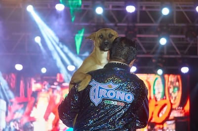 Alcalde de Zacualtipán se vuelve viral por bailar con un perro durante concierto