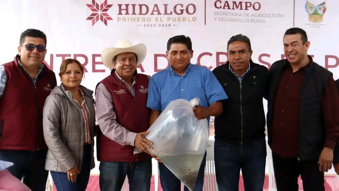 Siembran 200 mil alevines de tilapia en presa en Alfajayucan | Foto: Especial