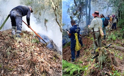 Vecinos de Santa María combaten incendio forestal en Tlanchinol
