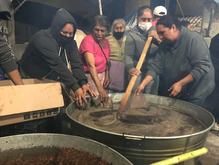 Foto: Érika Gutiérrez