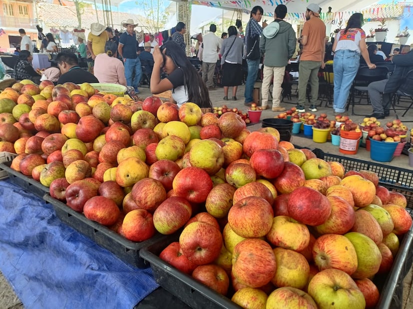 Así se vivió la Feria de la Manzana y el Hongo en Acaxochitlán I Foto: Grisel Lira