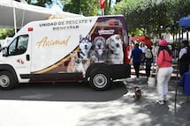 Nuevo consultorio móvil y unidad de rescate refuerzan atención animal en Tulancingo