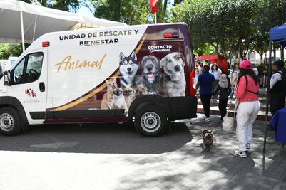 Nuevo consultorio móvil y unidad de rescate refuerzan atención animal en Tulancingo