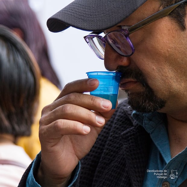 Del auge del pulque a la lucha por salvar el maguey en Hidalgo | Facebook: Destiladores de Pulque de Hidalgo