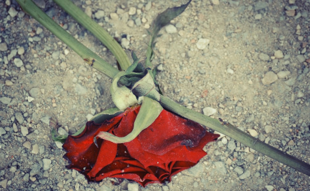 Hidalgo entre los 10 estados con más denuncias por violación y violencia contra mujeres | Imagen ilustrativa