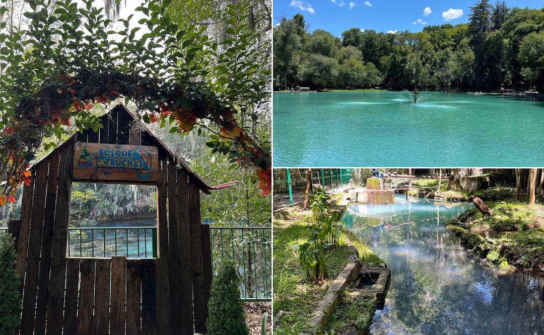 ¿Buscas una escapada llena de naturaleza y adrenalina? Facebook: Parque el Bosque de las Truchas Oficial