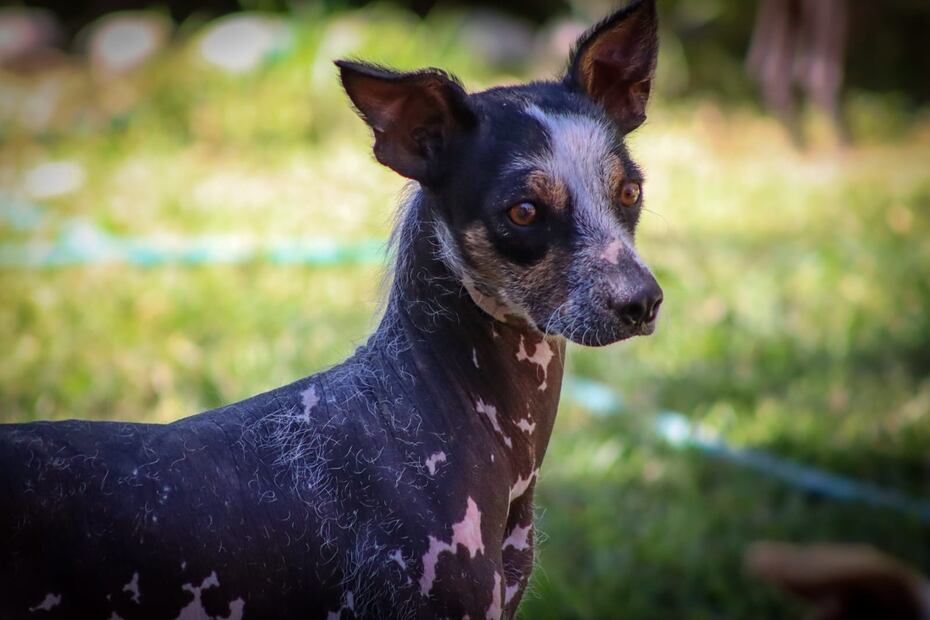 Cuidar es también preservar | Foto: Josué Ortiz