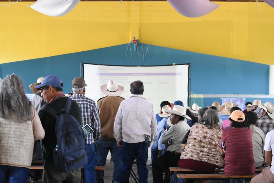 Avanza consulta para restauración ecológica en la presa Endhó | Foto: especial